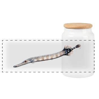 Trumpetfish - Trumpetfish - poisson trompette - Panoramic Cookie Jar with Wooden Lid - white - Front