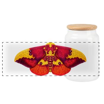 Imperial Moth Eacles imperialis Cartoon Style - Panoramic Cookie Jar with Wooden Lid - white - Front