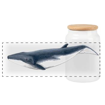 Tropical baby whale Baby whale - Baby baleine - Panoramic Cookie Jar with Wooden Lid - white - Front