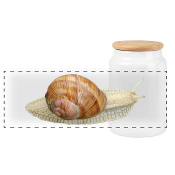 Escargot, escargot de vigne - Boîte à biscuits avec couvercle en bois - blanc - Devant