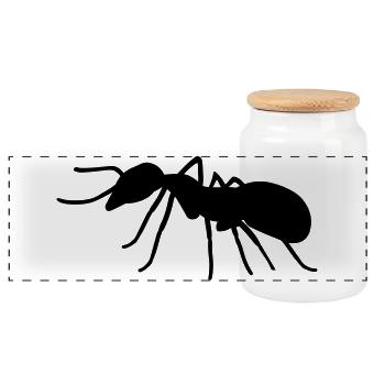 Ant - Panoramic Cookie Jar with Wooden Lid - white - Front