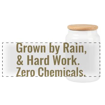 Sustainable Horticulture Sayings Regenerative Agriculture - Panoramic Cookie Jar with Wooden Lid - white - Front