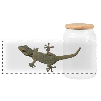 Gecko - Boîte à biscuits avec couvercle en bois - blanc - Devant