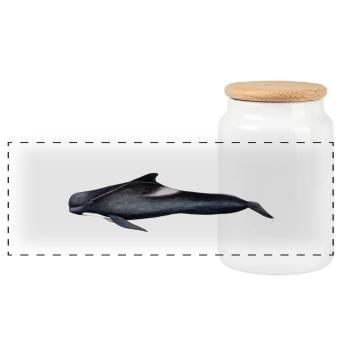 Pilot whale - Pilot whale - Globicephale noir - Panoramic Cookie Jar with Wooden Lid - white - Front