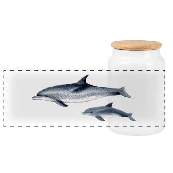 Repéré Dolphin - Dauphin tacheté - Dauphin tacheté - Boîte à biscuits avec couvercle en bois - blanc - Devant
