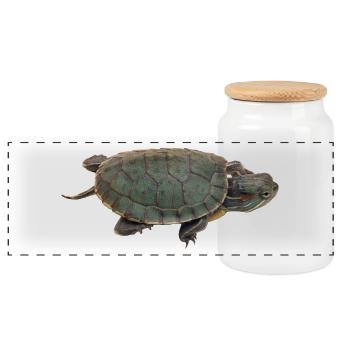 turtle schildkroete tiere animals4 - Panorama Keksdose mit Holzdeckel - Weiß - Vorne