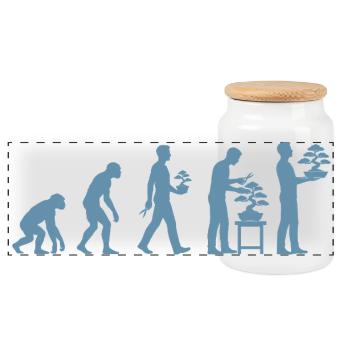 Bonsaï Évolution des plantes Bonsaï japonaises - Boîte à biscuits avec couvercle en bois - blanc - Devant