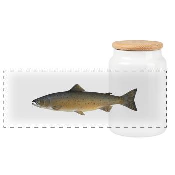Salmon 2 - Boîte à biscuits avec couvercle en bois - blanc - Devant