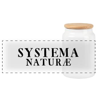 Systema Naturae - Boîte à biscuits avec couvercle en bois - blanc - Devant
