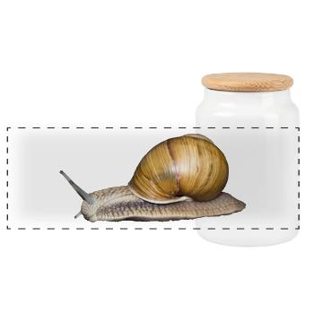 The - Panoramic Cookie Jar with Wooden Lid - white - Front