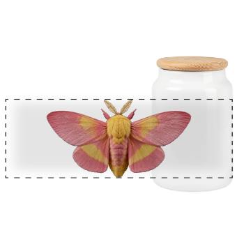 Papillon de l’érable rosé Dryocampa rubicunda - Boîte à biscuits avec couvercle en bois - blanc - Devant