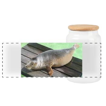 Seal pup on Texel - Panoramic Cookie Jar with Wooden Lid - white - Front