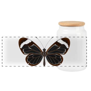 Glasswing Butterfly Greta oto Cartoon Style - Panoramic Cookie Jar with Wooden Lid - white - Front