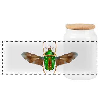 Stephanorrhina guttata-beautiful insect with wings - Panoramic Cookie Jar with Wooden Lid - white - Front