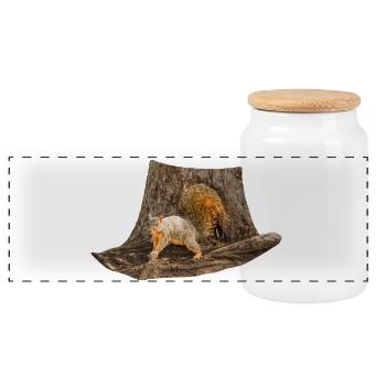 Squirrel in front of the tree, Eastern fox squirrel - Panoramic Cookie Jar with Wooden Lid - white - Front
