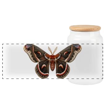 Cecropia Moth Hyalophora cecropia - Panoramic Cookie Jar with Wooden Lid - white - Front
