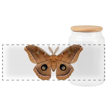 Polyphemus Moth Antheraea polyphemus - Panoramic Cookie Jar with Wooden Lid - white - Front