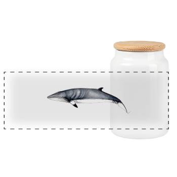 Minke whale - Minke whale - Petit rorqual - Panoramic Cookie Jar with Wooden Lid - white - Front