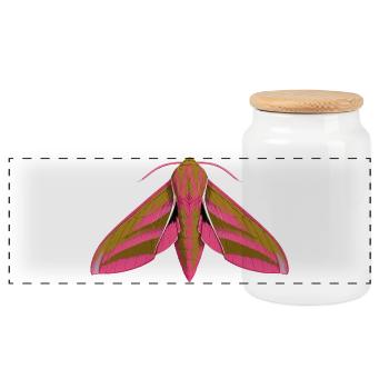 Elephant Hawk Moth Deilephila elpenor Cartoon Styl - Panoramic Cookie Jar with Wooden Lid - white - Front