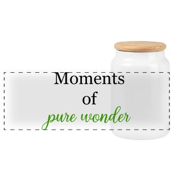 Moments de pure émerveillement, d’émerveillement magique, de design - Boîte à biscuits avec couvercle en bois - blanc - Devant