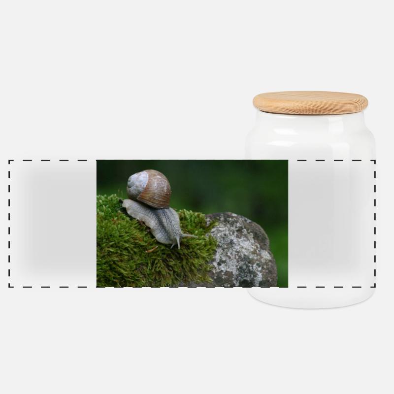 Escargot sur mousse - Boîte à biscuits avec couvercle en bois - blanc