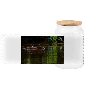 Lautlos durch ruhiges grünes Wasser schwimmen - Panorama Keksdose mit Holzdeckel - Weiß - Vorne