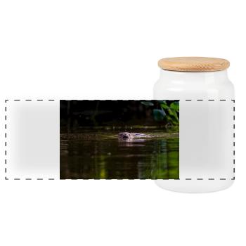 Biber schwimmt im flachen Wasser auf die Kamera zu - Panorama Keksdose mit Holzdeckel - Weiß - Vorne