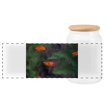 Orange Bloom on Arching Stem - Panoramic Cookie Jar with Wooden Lid - white - Front
