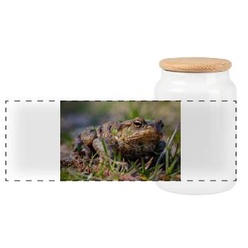 Nahaufnahme einer Erdkröte - Poster - Panorama Keksdose mit Holzdeckel - Weiß - Vorne