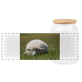 Ruhendes Schaf im Gras - Panorama Keksdose mit Holzdeckel - Weiß - Vorne