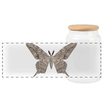 Papillon sorcier blanc Thysania agrippina - Boîte à biscuits avec couvercle en bois - blanc - Devant