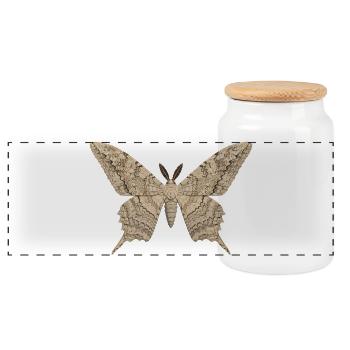 White Witch Moth Thysania agrippina Cartoon Style - Panoramic Cookie Jar with Wooden Lid - white - Front