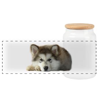 Maia Malamute Welpe - Panorama Keksdose mit Holzdeckel - Weiß - Vorne