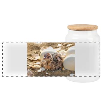 Ostrich chicks in nest with eggshells - Panoramic Cookie Jar with Wooden Lid - white - Front