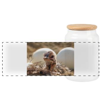 Curious chick in the nest - Panoramic Cookie Jar with Wooden Lid - white - Front