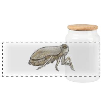 Croquis à l’encre de cigale en tons terreux - Boîte à biscuits avec couvercle en bois - blanc - Devant