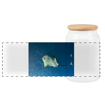 Manta des grandes profondeurs dans l’océan bleu - Boîte à biscuits avec couvercle en bois - blanc - Devant