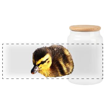 Ducks chicks, birds, baby animals - Panoramic Cookie Jar with Wooden Lid - white - Front