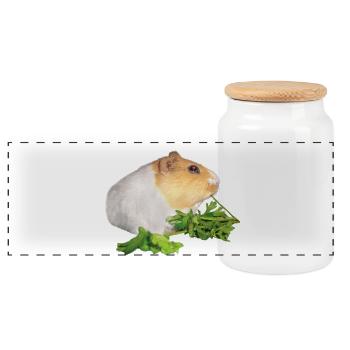 Meerschweinchen Rossi 1 - Panorama Keksdose mit Holzdeckel - Weiß - Vorne