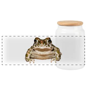 frog frog crocodile toad animal animals - Panoramic Cookie Jar with Wooden Lid - white - Front