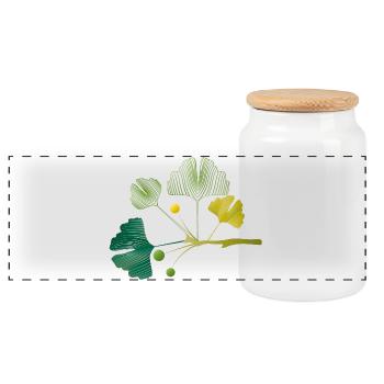 Ginkgo branch made of leaf lines in soft green tones - Panoramic Cookie Jar with Wooden Lid - white - Front