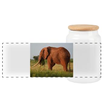 Elephant on Savannah - Panoramic Cookie Jar with Wooden Lid - white - Front