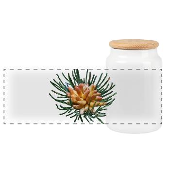 Creative fir branches - Panoramic Cookie Jar with Wooden Lid - white - Front