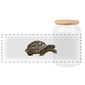 turtle schildkroete tiere animals9 - Panorama Keksdose mit Holzdeckel - Weiß - Vorne