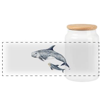 Risso - Grampus Dolphin - Dauphin Risso - Panorama Keksdose mit Holzdeckel - Weiß - Vorne