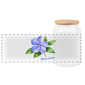 Vinca Minor - Aquarell botanische Illustration - Panorama Keksdose mit Holzdeckel - Weiß - Vorne
