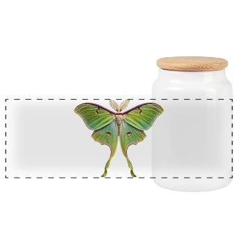 Luna Moth Actias luna - Boîte à biscuits avec couvercle en bois - blanc - Devant