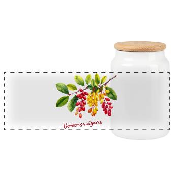 Berberis vulgaris – botanical illustration - Panoramic Cookie Jar with Wooden Lid - white - Front