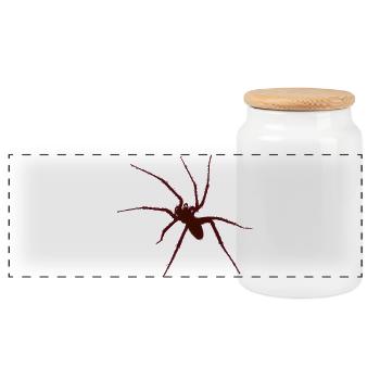 spider - Panorama Keksdose mit Holzdeckel - Weiß - Vorne