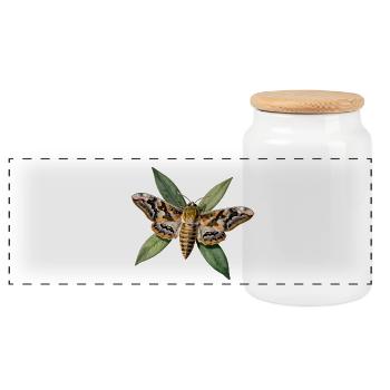 Oleander-Sphinx und botanisches Laub - Panorama Keksdose mit Holzdeckel - Weiß - Vorne